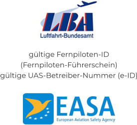gültige Fernpiloten-ID (Fernpiloten-Führerschein) gültige UAS-Betreiber-Nummer (e-ID)